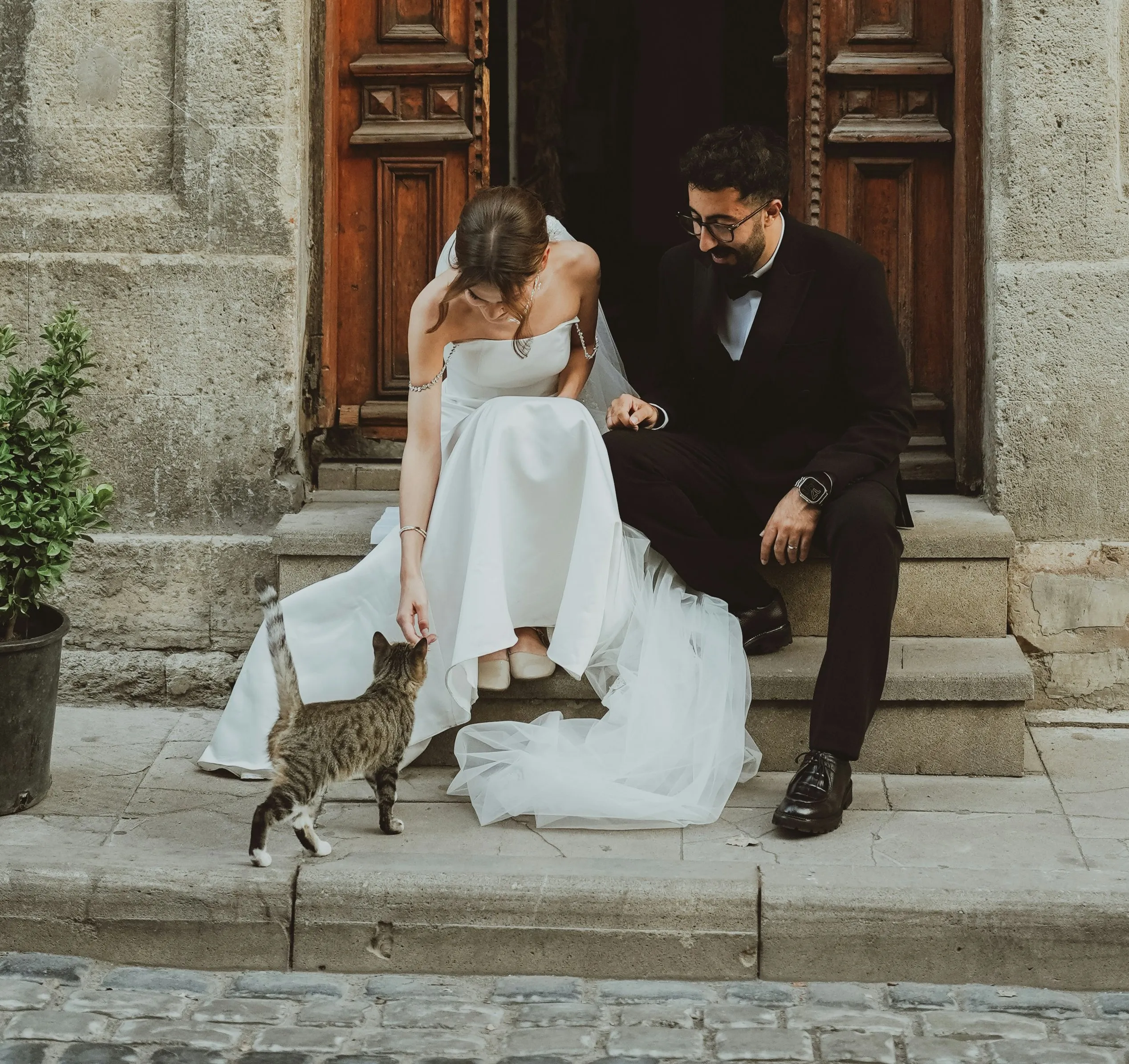 Un couple de mariés charmants partageant un moment tendre avec un chat dans un décor romantique.