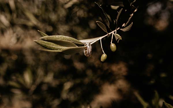 mariage-chic-romantique-paca