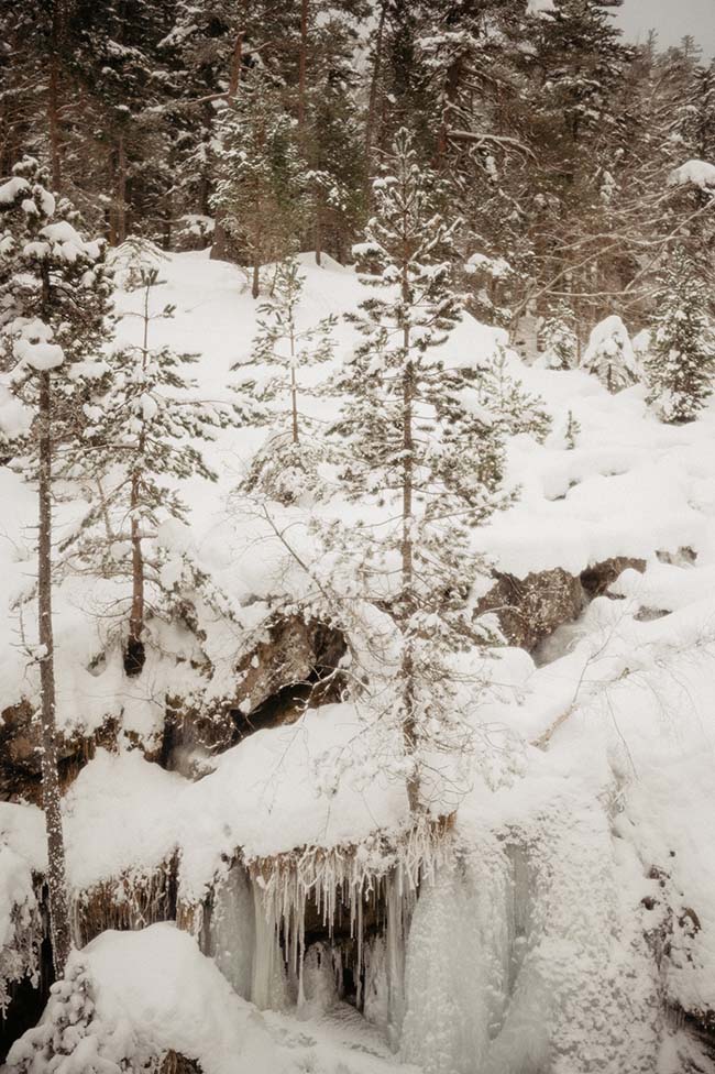Scène winter wonderland avec des arbres et des rochers recouverts de neige et d'icellisations, idéal pour un mariage