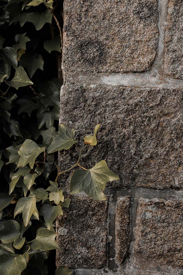 Inspirations-mariage-intimiste-bohème-Bretagne