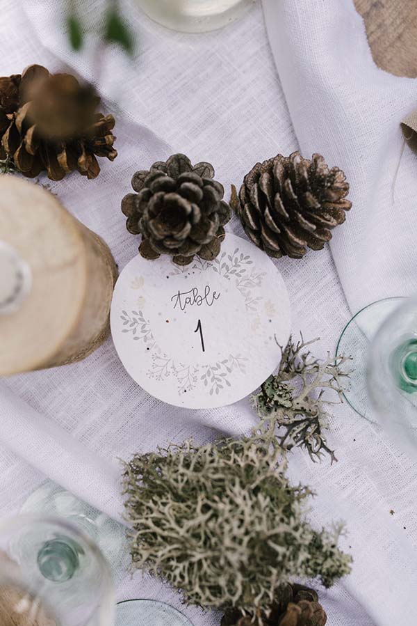 Tableau romantique et élégant pour un mariage en Rhône-Alpes, avec un focus sur l'harmonie avec la nature.