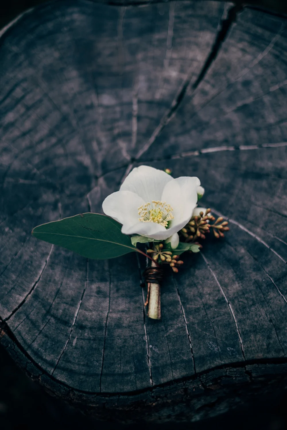 Pierre atelier / photographer wedding Paris / Photographe mariage/ elopement & engagement