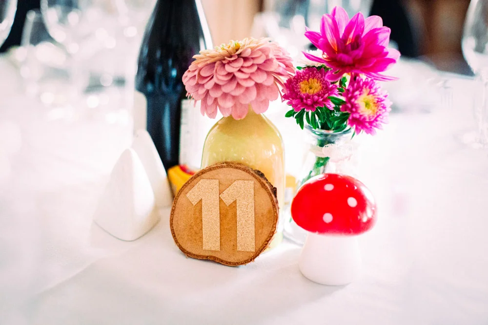 Photosdemariage-ChloeVollmerLo-Emilie&Remi18