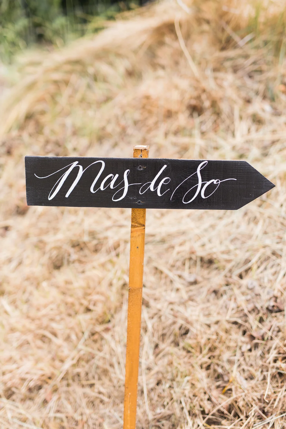 Photos-de-mariage-Sophie&Yoann-Tiara-Photographie1
