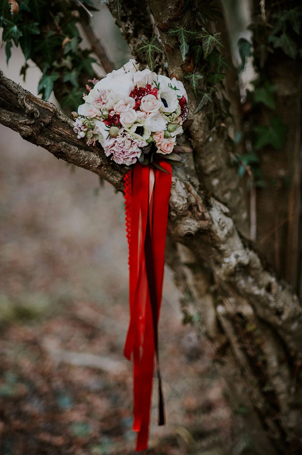 Photos-de-mariage-Emilie-Marc-Zed-Photographies9