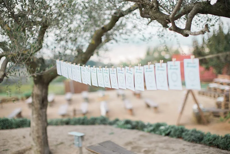 Plan de table minimaliste suspendu à une branche d'olivier dans un jardin champêtre et lumineux.