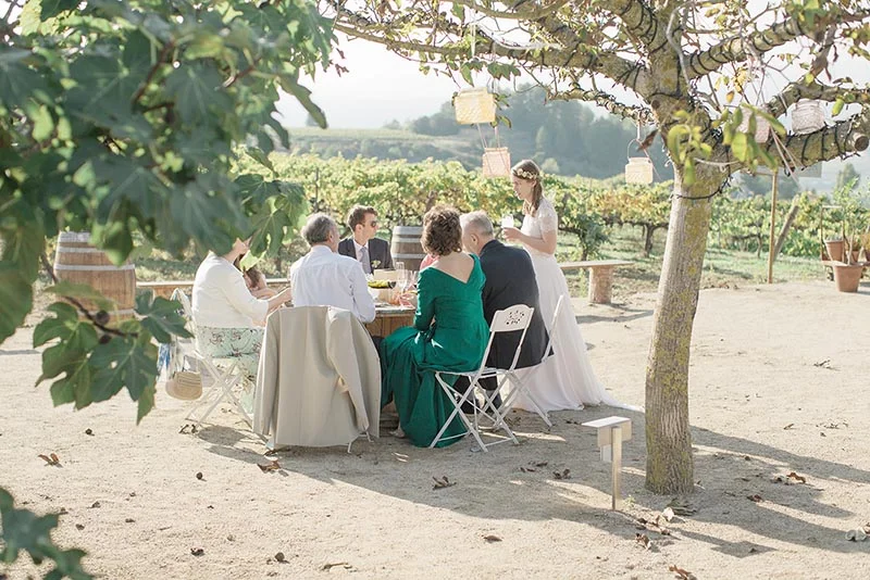 Mariés et invités dînent en plein air sous un arbre décoré, dans un vignoble baigné d'une lumière douce et naturelle.