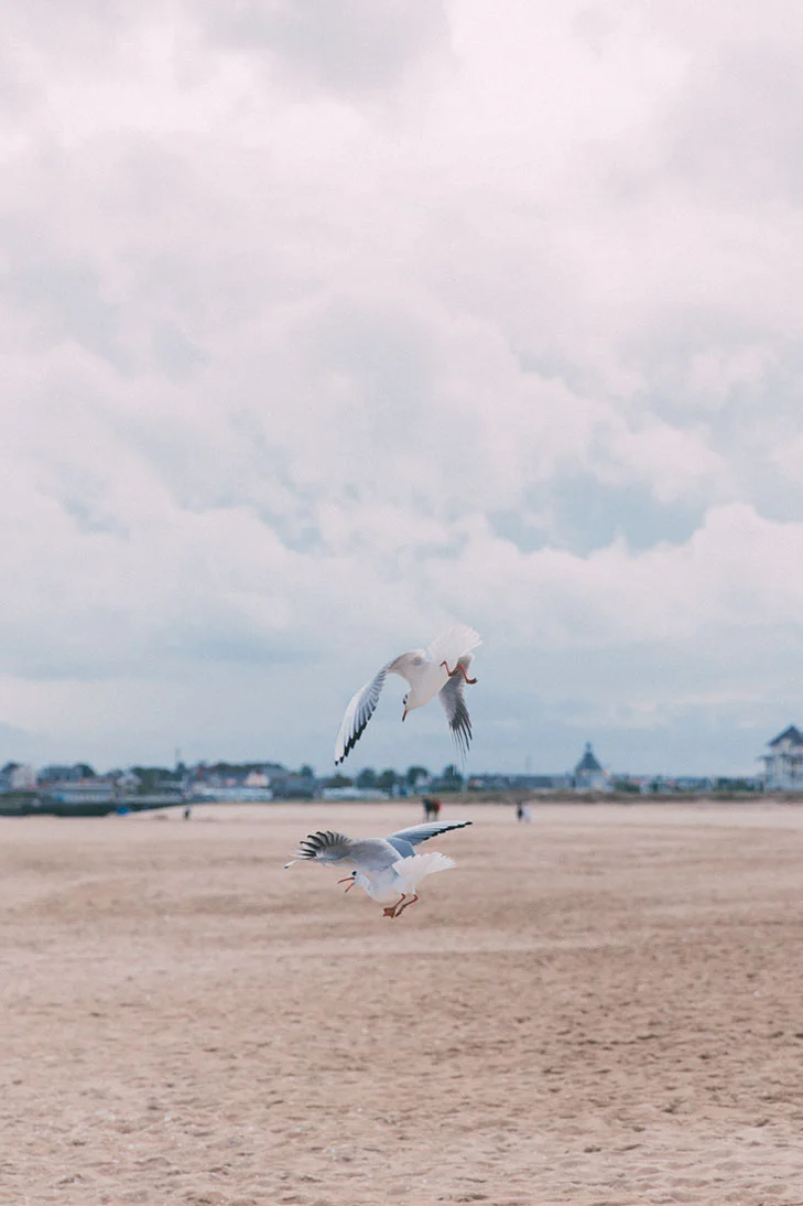 inspi-ocean-2