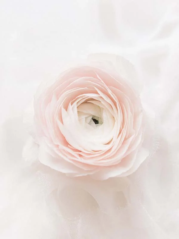 mariage-chic-eco-friendly-basse-normandie