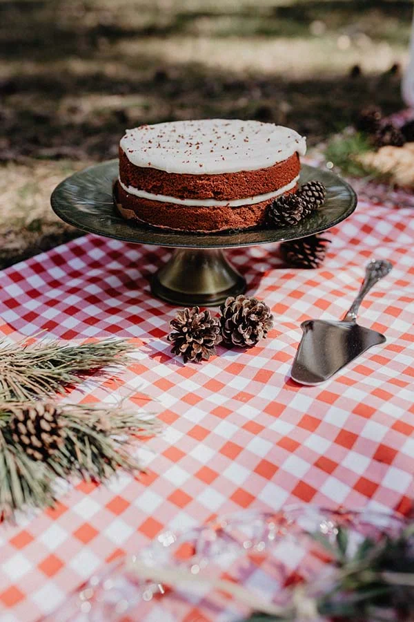 Idées mariage coloré forêt contes