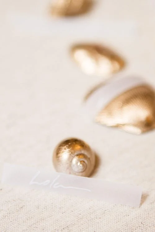 marque-place-coquillage-003-C2L1