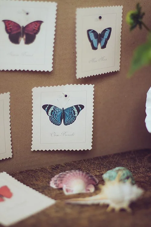 DIY-botanical-book-003g