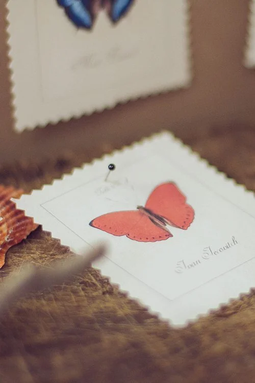 DIY-botanical-book-003d