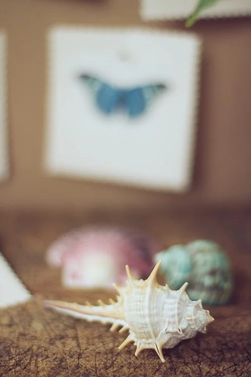 DIY-botanical-book-004g