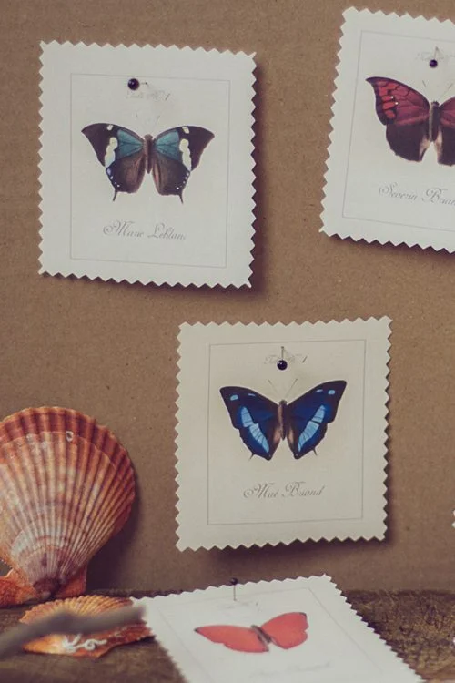 DIY-botanical-book-004b