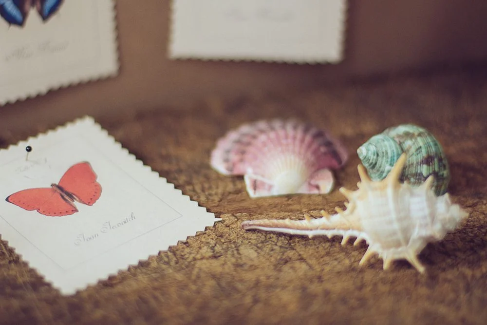 DIY-botanical-book-005