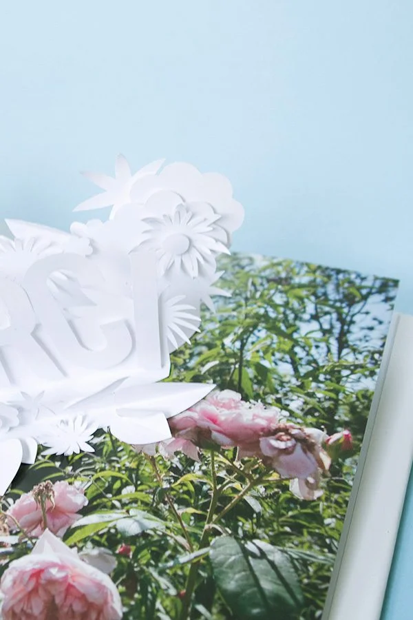 DIY-pop-up-book-004d