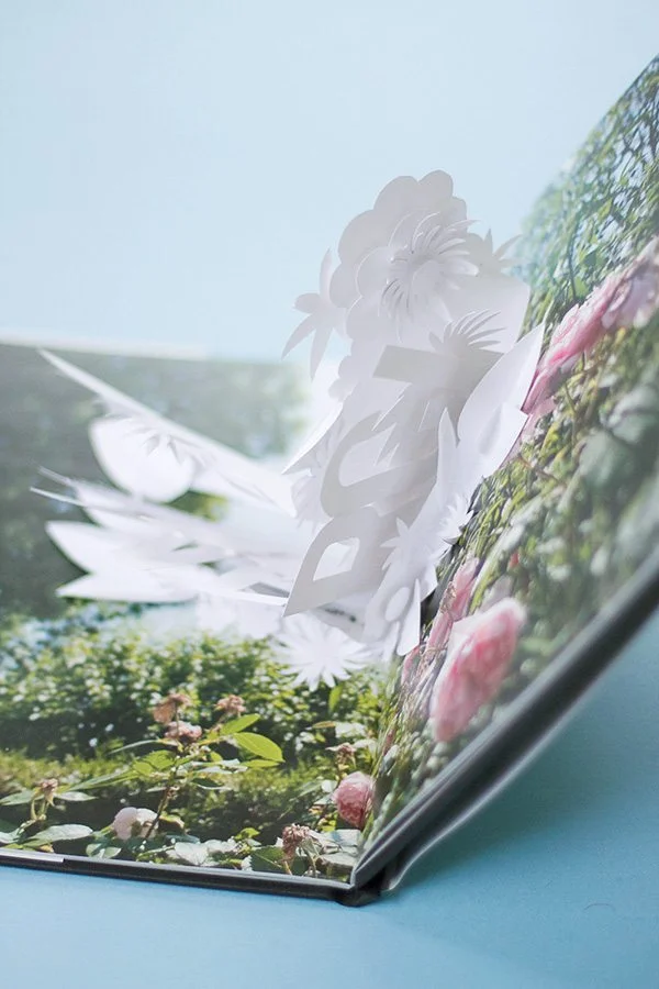 DIY-pop-up-book-003g