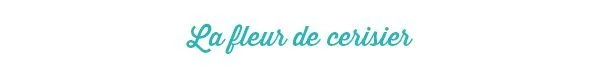 fleur-cerisier