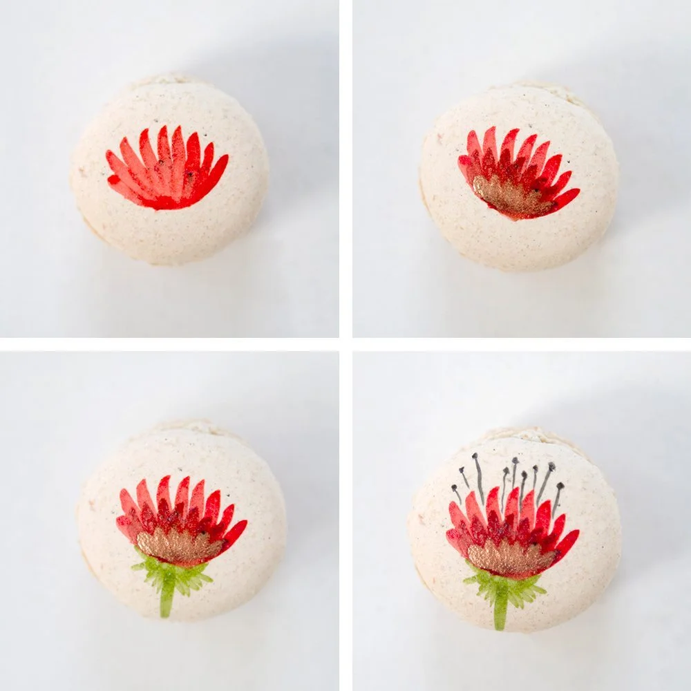 DIY-macarons-peints-howto-003
