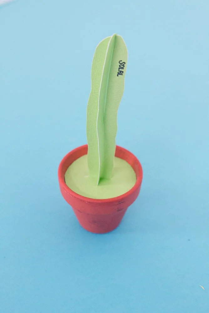 DIY-cactus-003g