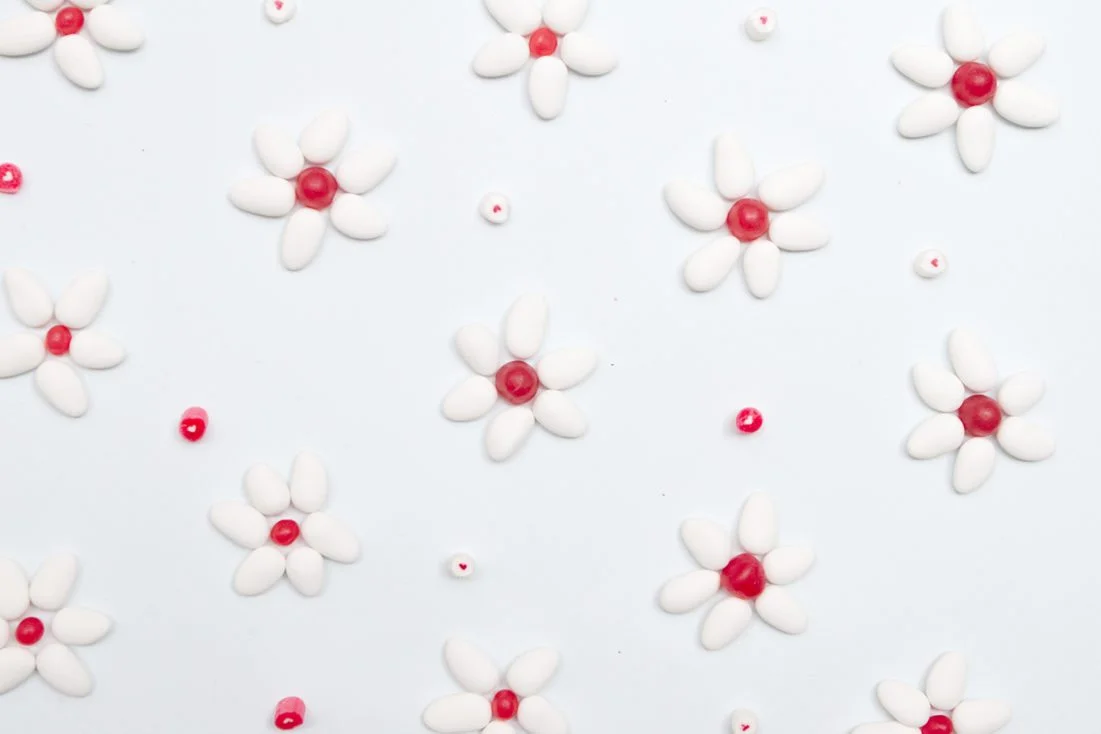 DIY-favor-gift-bonbons-007
