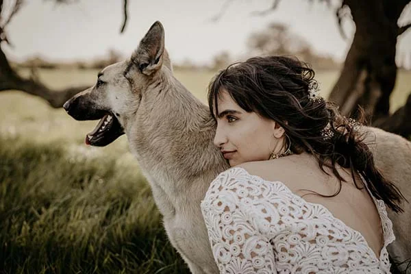 Élégante mariée en robe blanche délicat, émotionnelle avec son chien de compagnie dans un décor naturel paisible.
