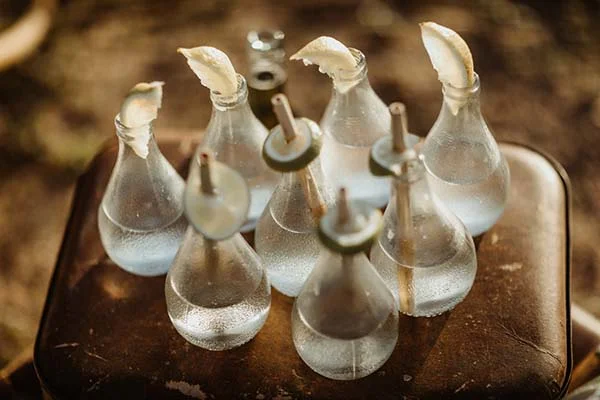 idees-mariage-nature-romantique-bord-loire