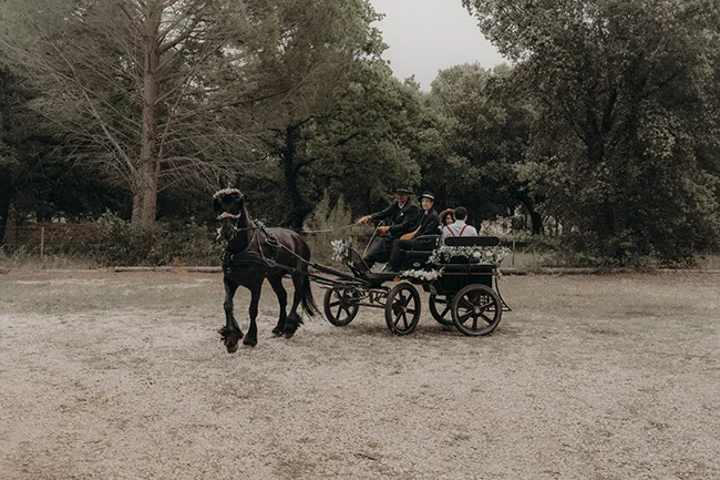 Un cheval tirant un char à l'ancienne, décorant de fleurs blanches, apporte un toucher romantique à un mariage bohémien à Uzès.