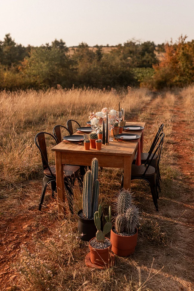 Table en plein air avec cactus et fleurs blanches, invitant à une soirée romantique et spirituelle dans les champs mexicains.