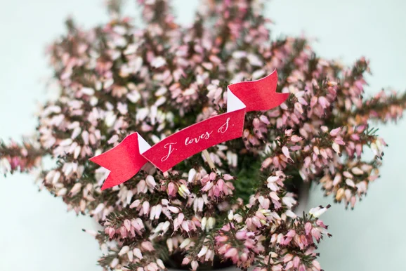 Petite banderole rouge avec l'inscription J. loves S. piquée dans un bouquet de fleurs roses et blanches.