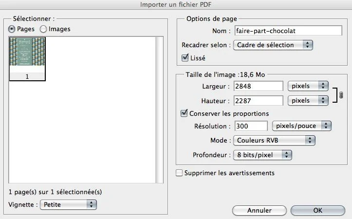 Capture d'écran d'une fenêtre d'importation de fichier PDF avec des réglages de résolution et de dimensions d'image.