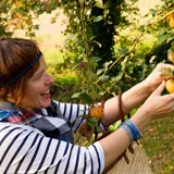 Une femme souriante en haut rayé cueille des fruits jaunes dans un verger ensoleillé.