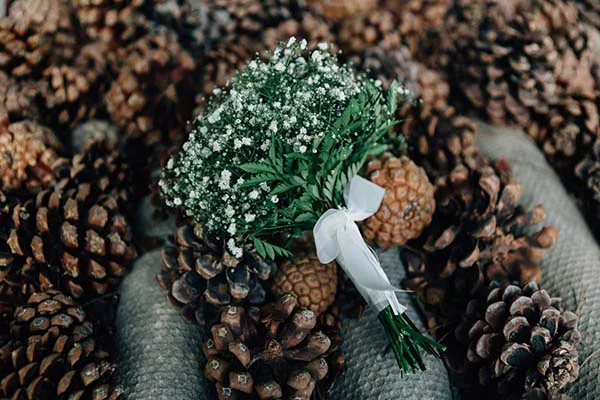 Petit bouquet de gypsophile blanc et feuillage vert avec ruban satiné, posé sur un lit de pommes de pin brunes.