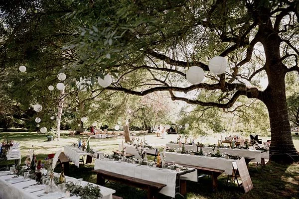 Réception de mariage bohème en plein air avec tables nappées de blanc sous un grand arbre décoré de lanternes.