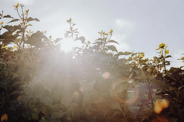 mariage cool champêtre Centre-Val de Loire