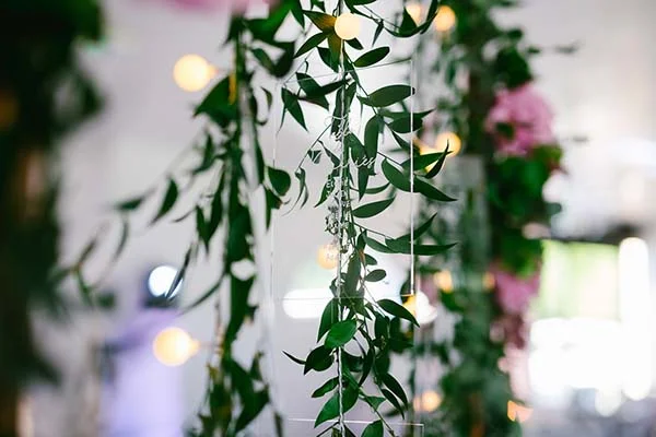 mariage-festif-champetre-bourgogne