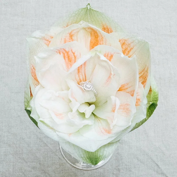 Un bouquet romantique de fleurs blanches et roses avec une belle bague de mariage au cœur, idéale pour cacher votre