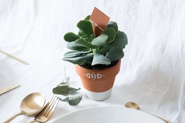 Un pot en terre cuite orange avec une plante verte et un petit panneau personnalisé, accompagné de fourchettes et de