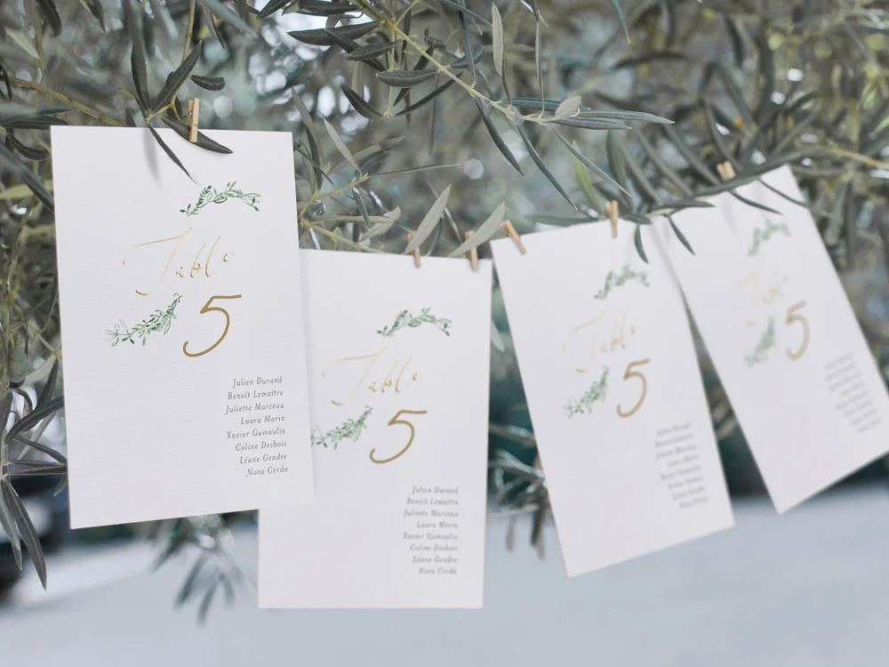 Tableau élégant et naturel avec des cartes de table suspendues sur un décor d'olivier, idéal pour un mariage avec un