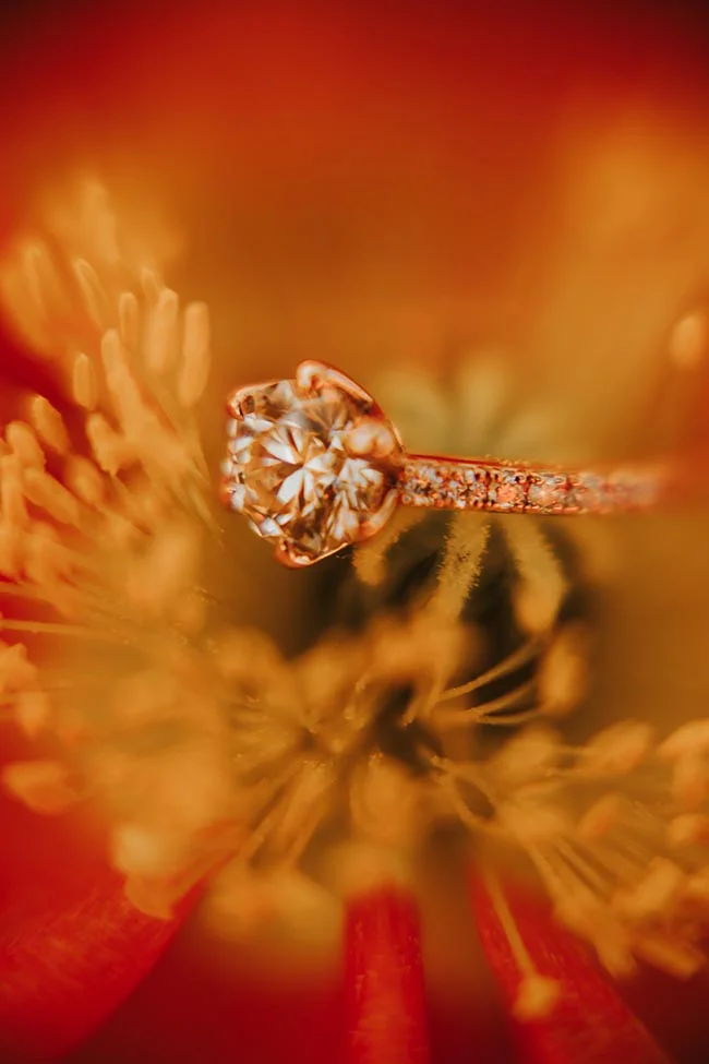 Bague de fiançailles en or et diamant posée sur une fleur rouge et orange aux tons chauds et lumineux.