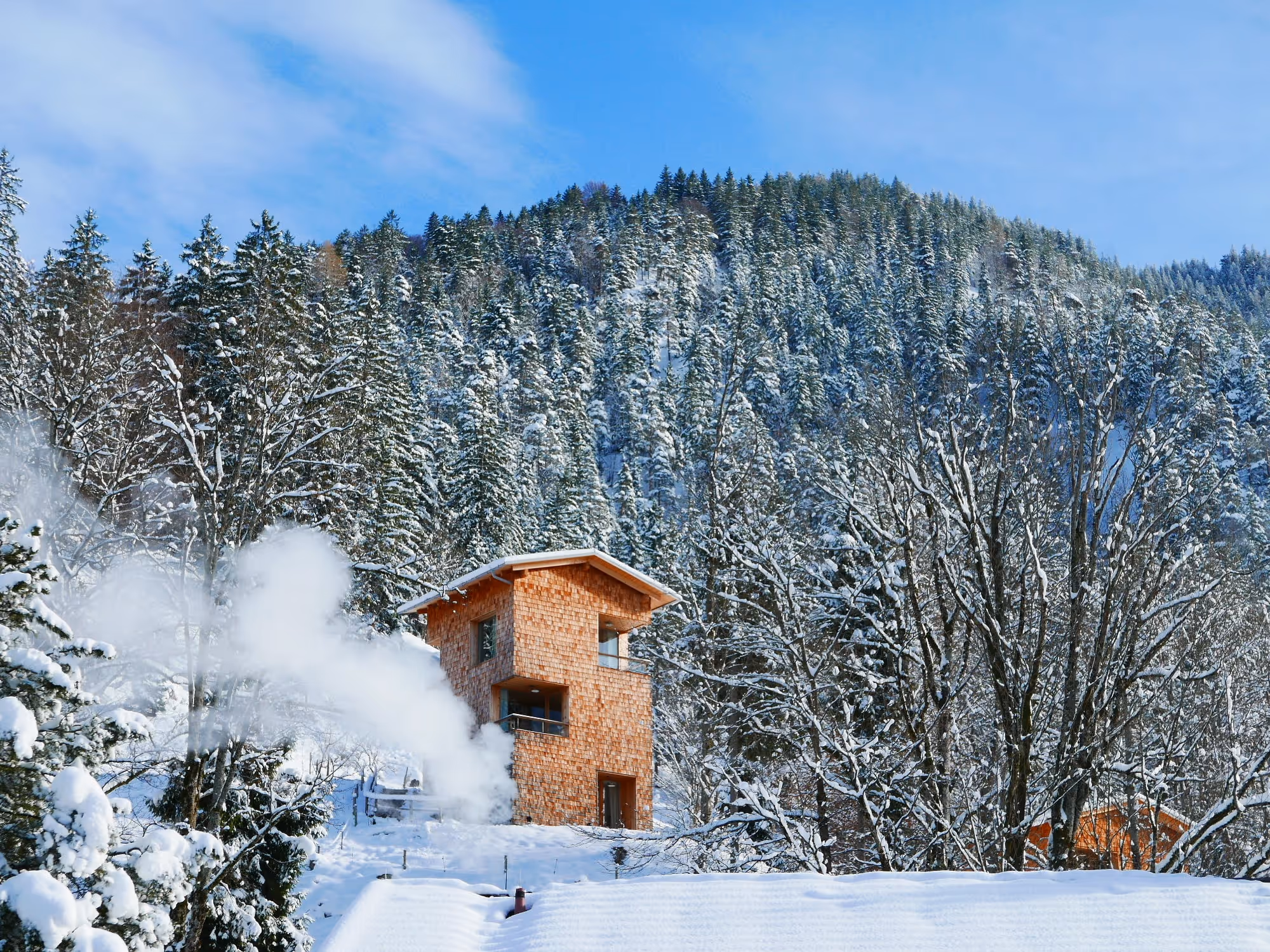 Winterlicher Blick auf den Hüttenturm im Wald im Tannerhof Bayrischzell