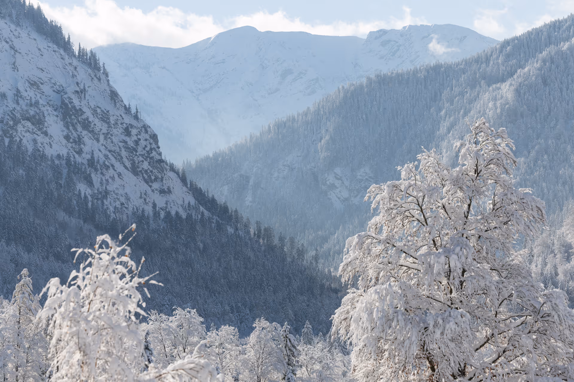 Winterliche Berglandschaft rund um den Tannerhof Bayrischzell