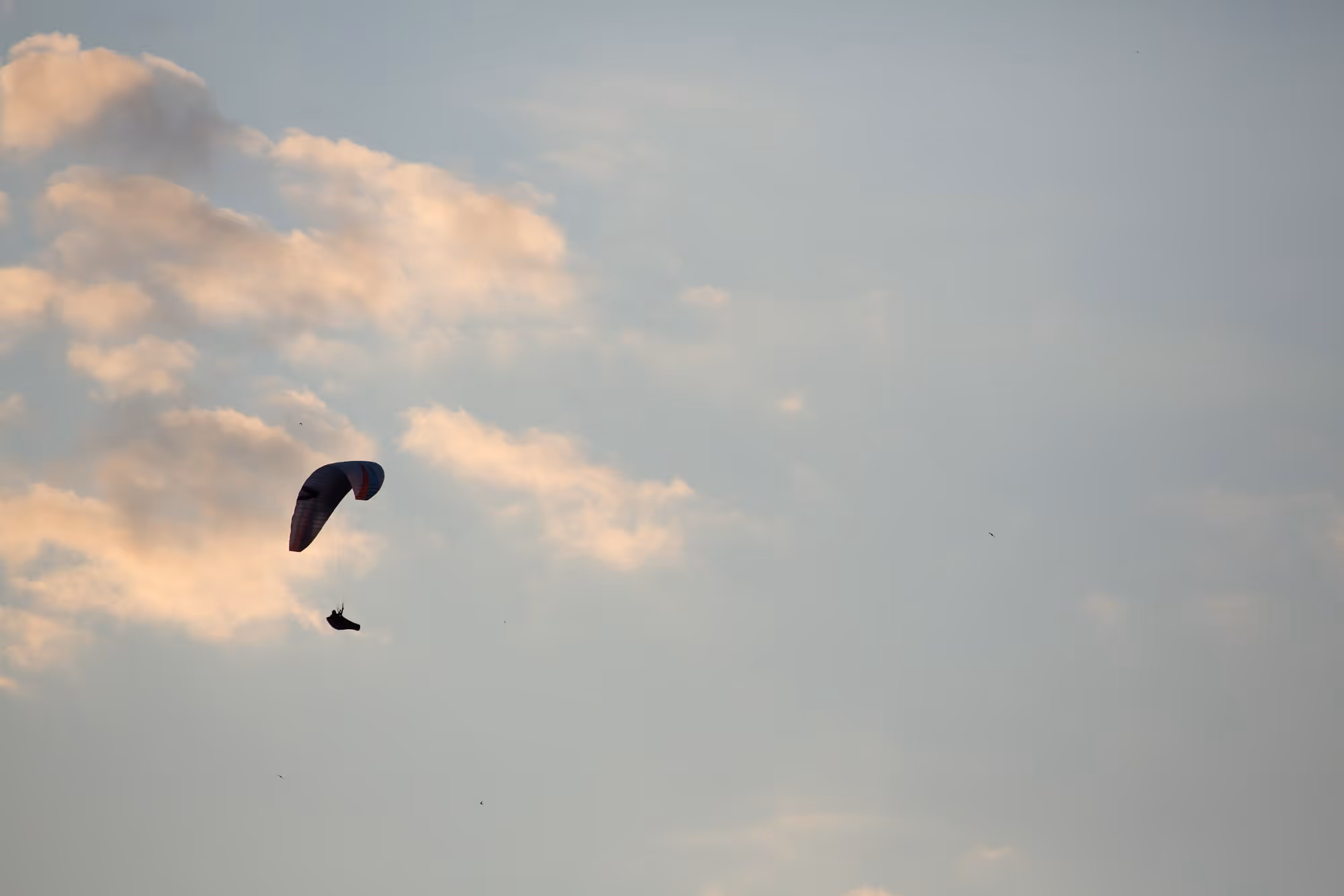 Paragleiter am Himmel über Bayrischzell, Umgebung des Tannerhof