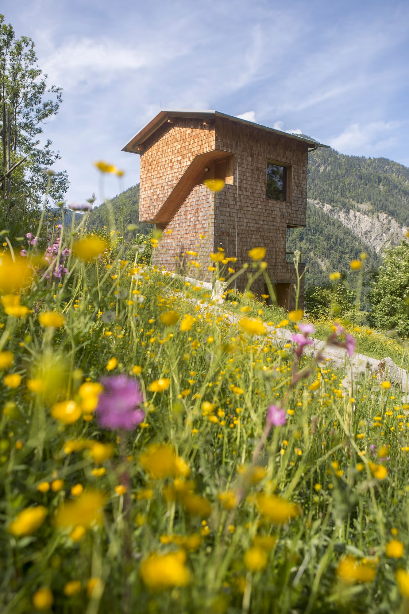 Wooden tower on a hillside surrounded by yellow and purple wildflowers with mountains in the background under a partly cloudy sky.