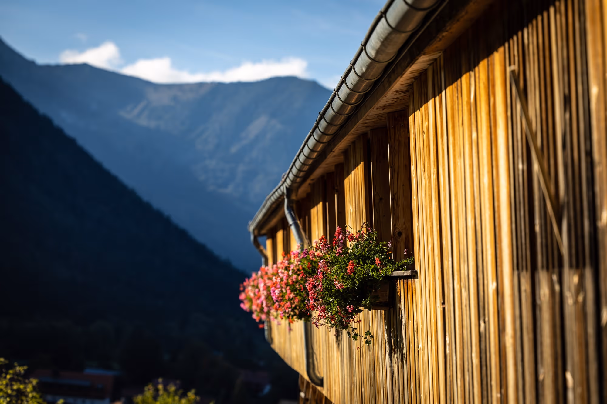 Holzfassade mit Blumenschmuck am Tannerhof Bayrischzell