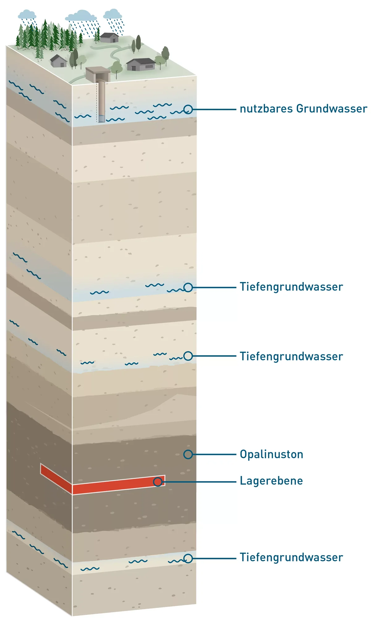 Vereinfachte Darstellung des geologischen Untergrundes: Ober- und unterhalb des Opalinustons gibt es wasserführende Schichten, sogenannte Aquifere.