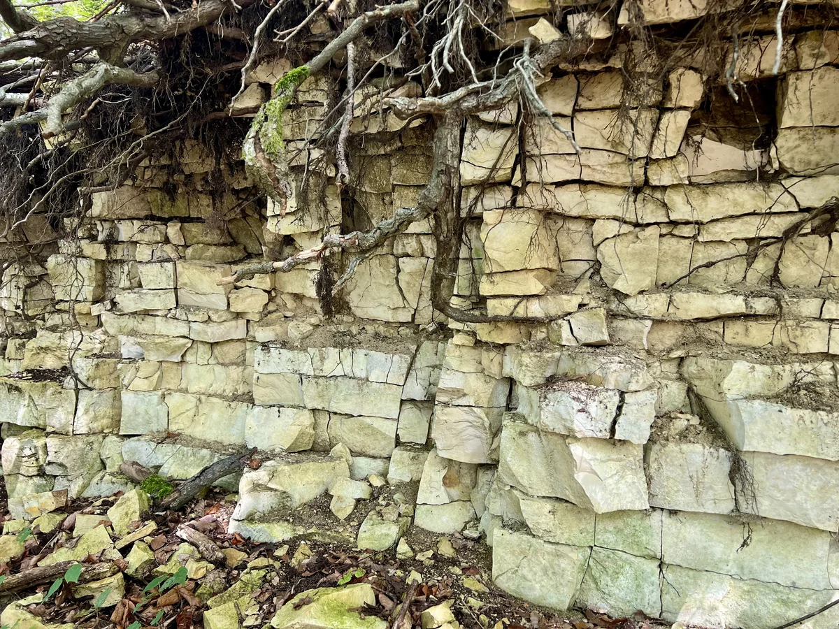 Malmkalk auf dem Höhenzug Randen im Kanton Schaffhausen: Der Kalkstein aus der Jura-Zeit ist auch im Untergrund mit Spalten durchzogen, sodass in ihm Wasser fliesst, wenn auch nur sehr langsam.