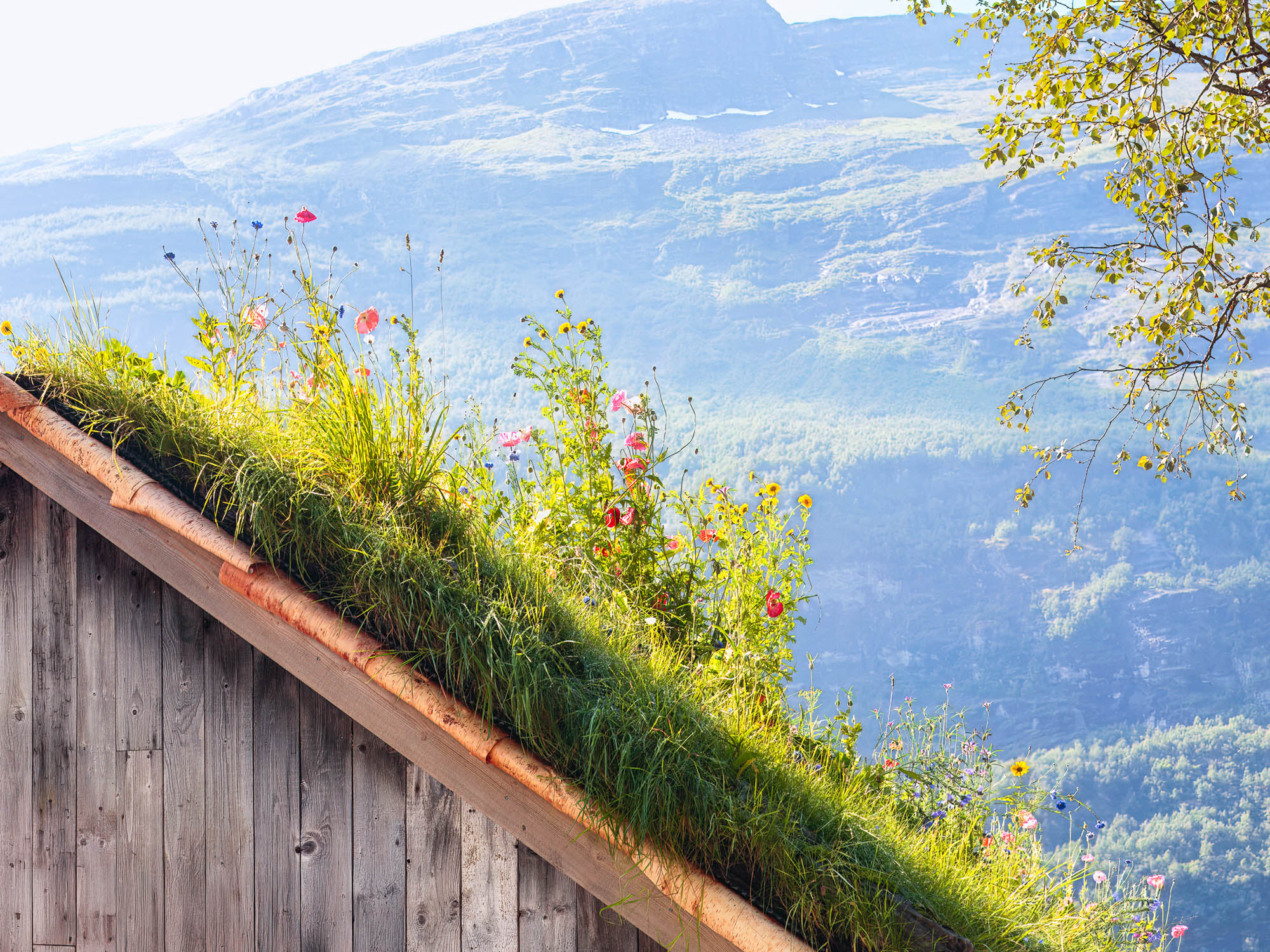 Expansive Norwegian fjord and mountain panorama under Nordic skies