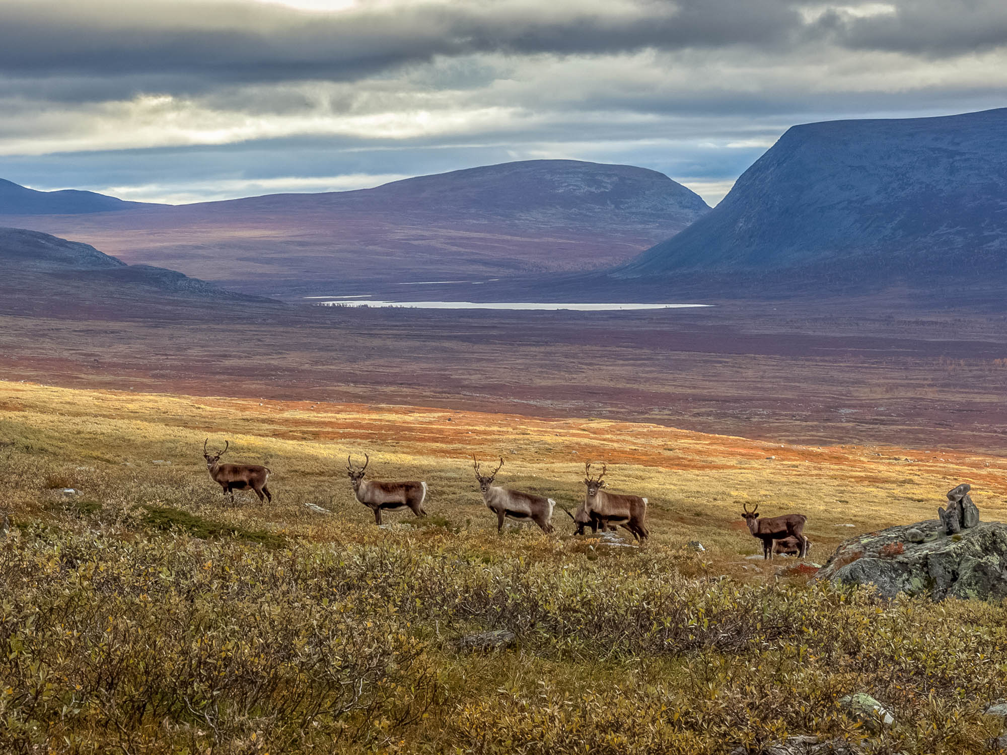 Norway — fjord landscape shaped by glaciers